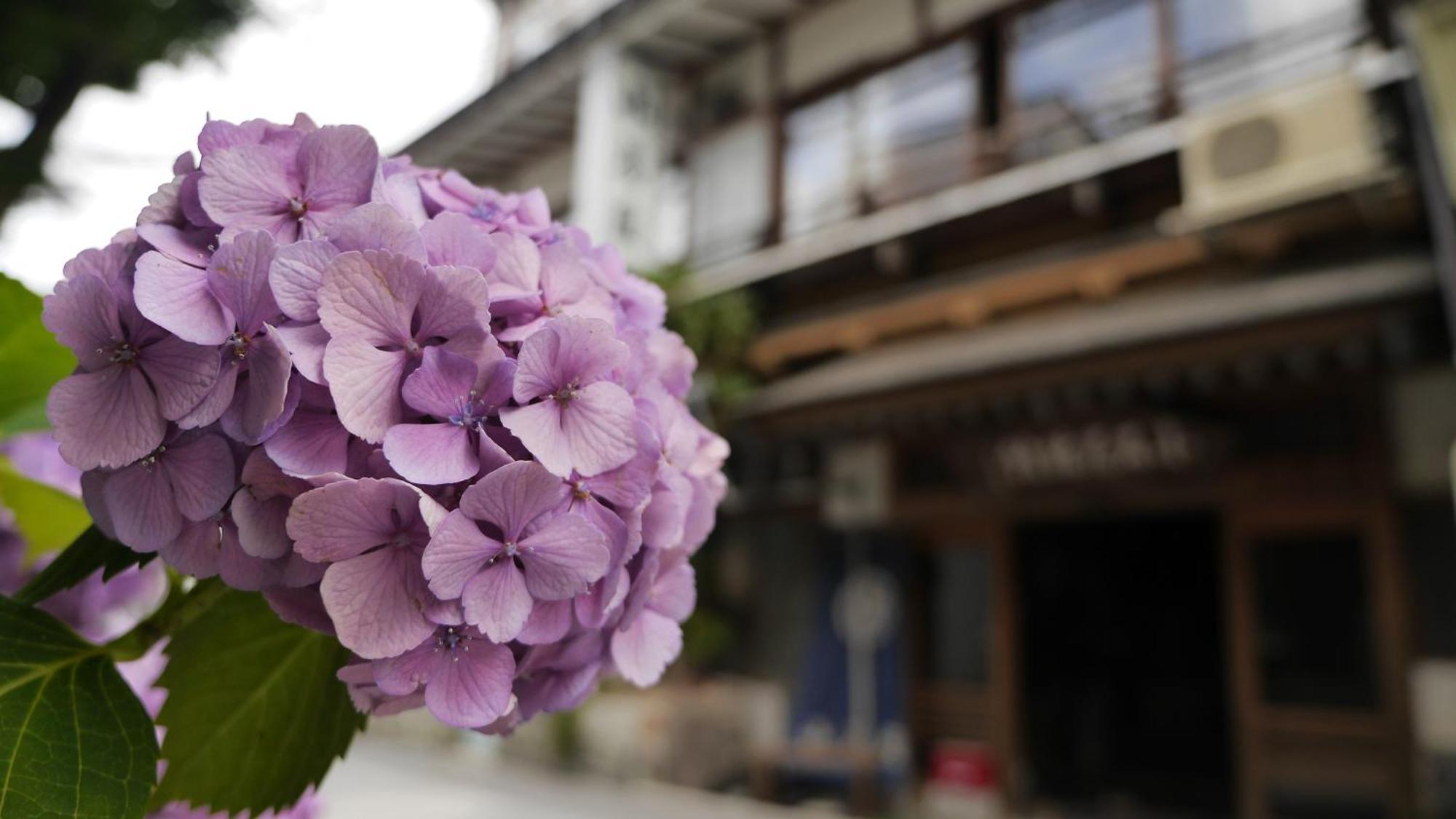 Shibu Onsen Koishiya Ryokan Yamanouchi  Exterior photo